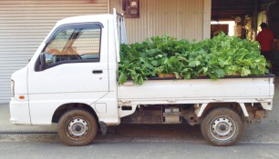 10592164野菜トラック