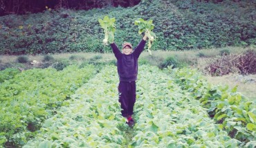 10590027野菜収穫