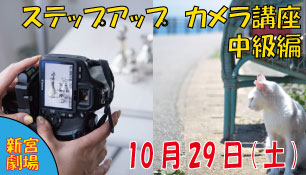 1029.kamera