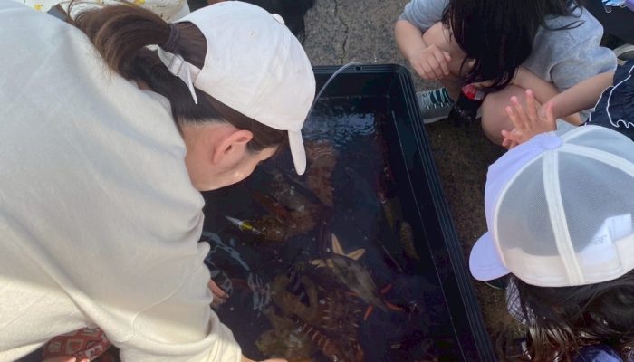 LINE_ALBUM_20250419相島春フェスタ_250423_19