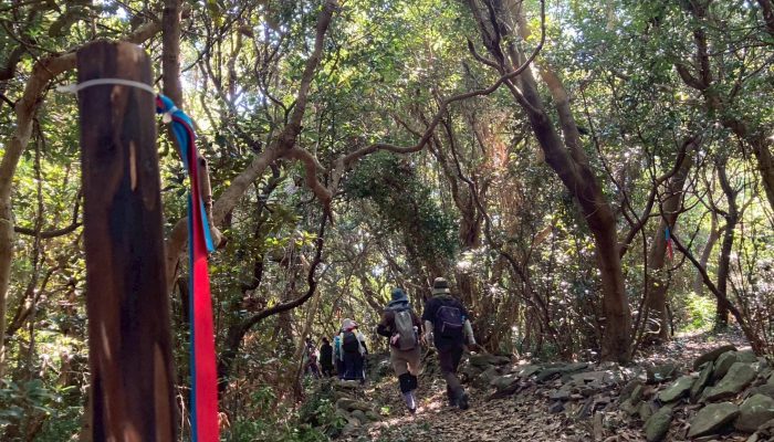 LINE_ALBUM_20251011相島オルレオープニングイベント_251012_23